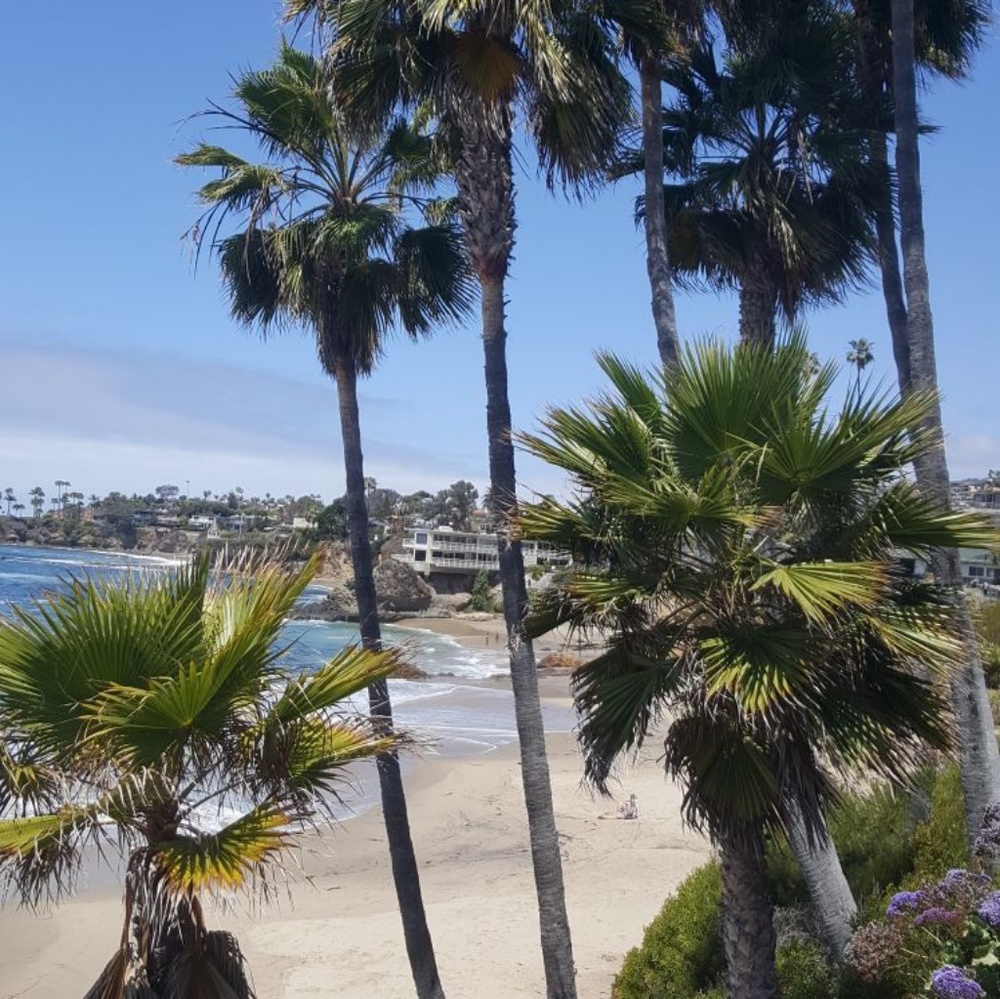 Meet your Posher, Naomi